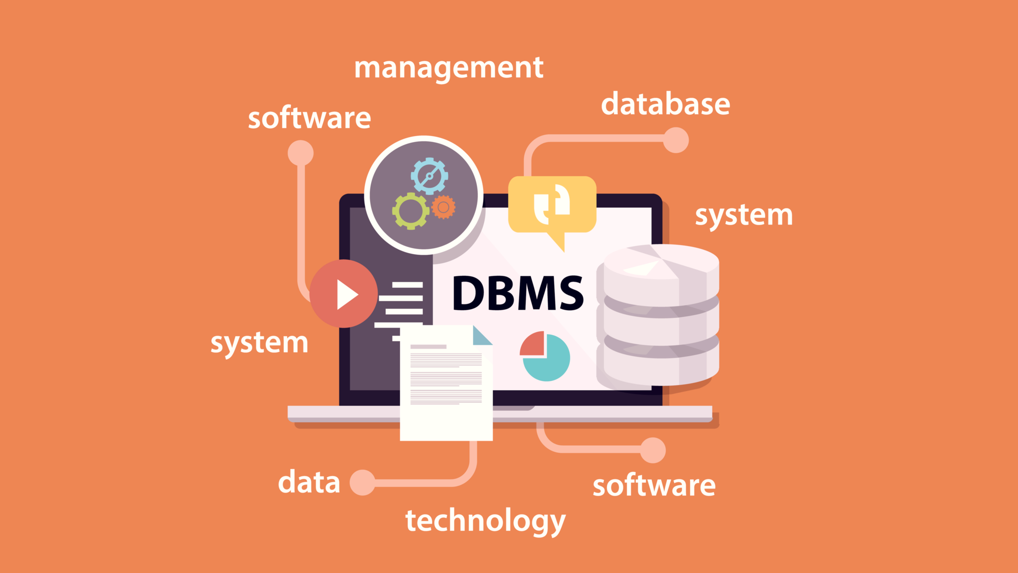 what is database management system (dbms)