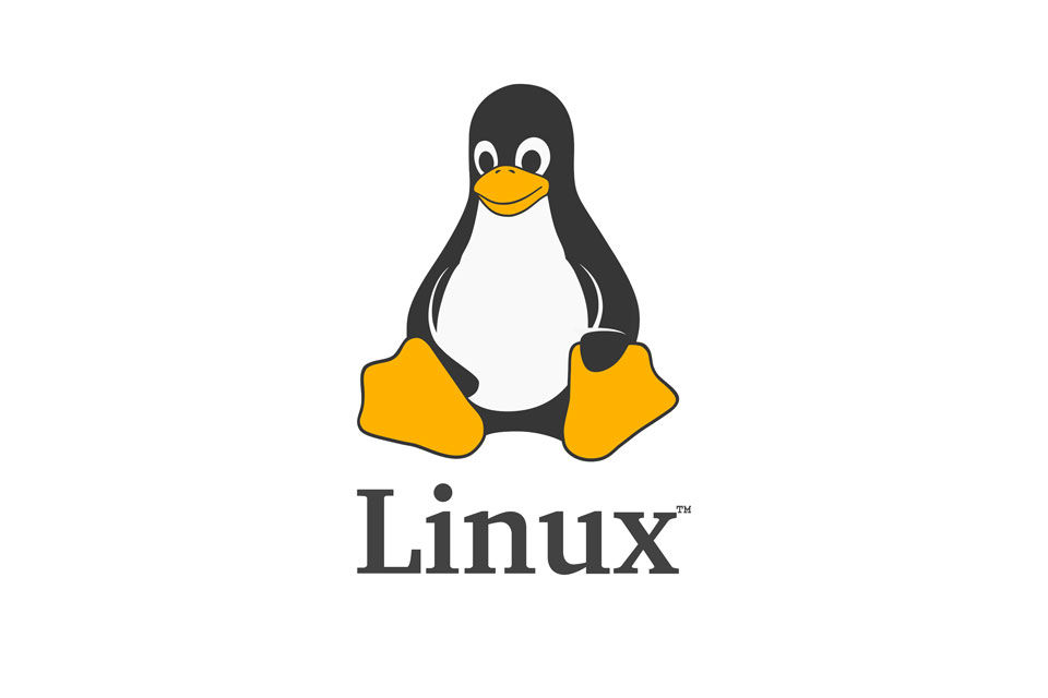 history of linux
