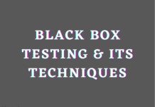 black box testing