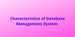 Characteristics of Database Management System - Scom Creator