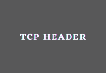 what do you mean by TCP header?