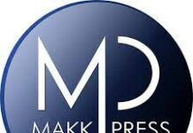 Web Development Internship at Makkpress Technologies