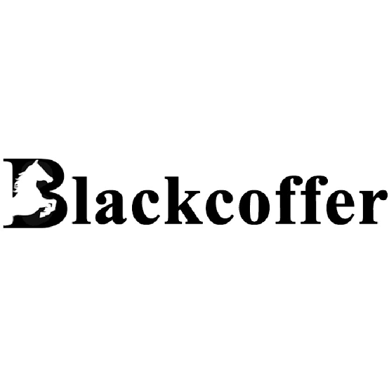 Flutter Development Internship at Blackcoffer