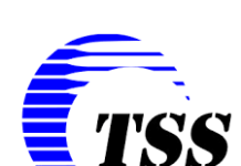 TSS Consultancy