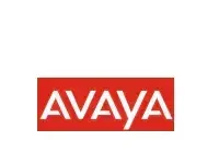 Avaya Recruitment 2023 | Freshers must apply