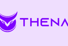 Thena Careers Hiring 2024 | Freshers must apply